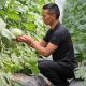 辛宏