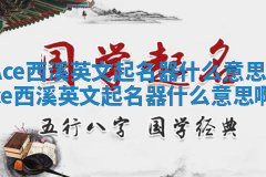 Ace西溪英文起名器什么意思_ace西溪英文起名器什么意思啊
