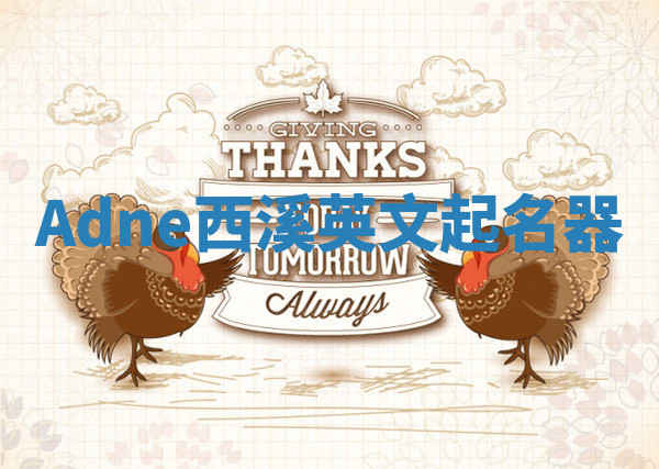 Adne西溪英文起名器