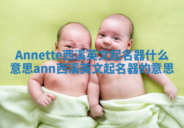 Annette西溪英文起名器什么意思 ann西溪英文起名器的意思 Annette西溪英文起名器什么意思 ann西溪英文起名器的意思