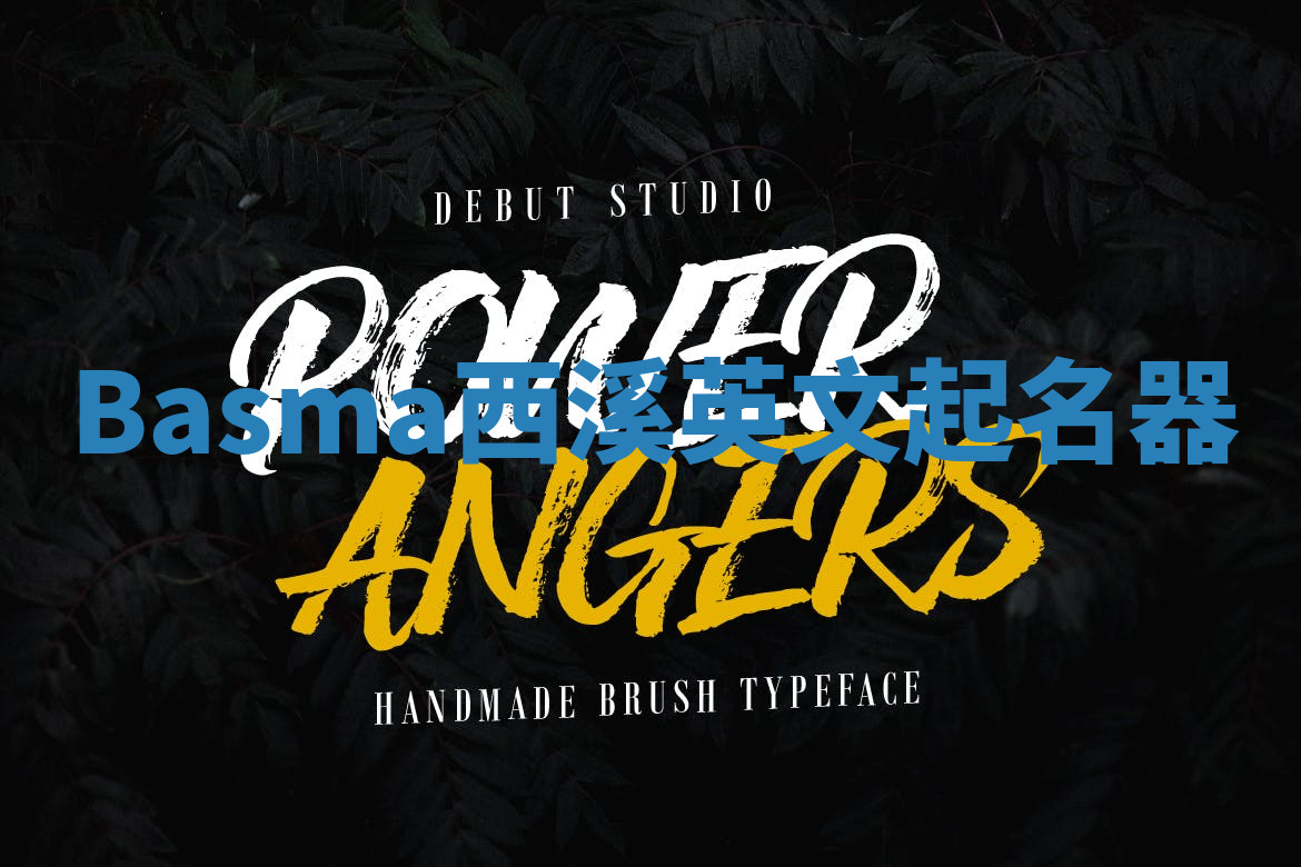 Basma西溪英文起名器