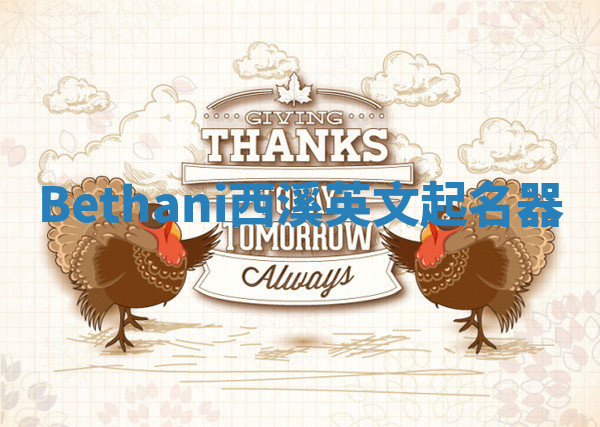 Bethani西溪英文起名器
