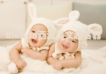 Blenda西溪英文起名器