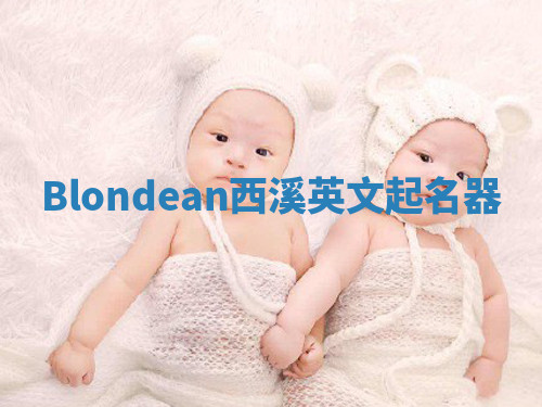 Blondean西溪英文起名器