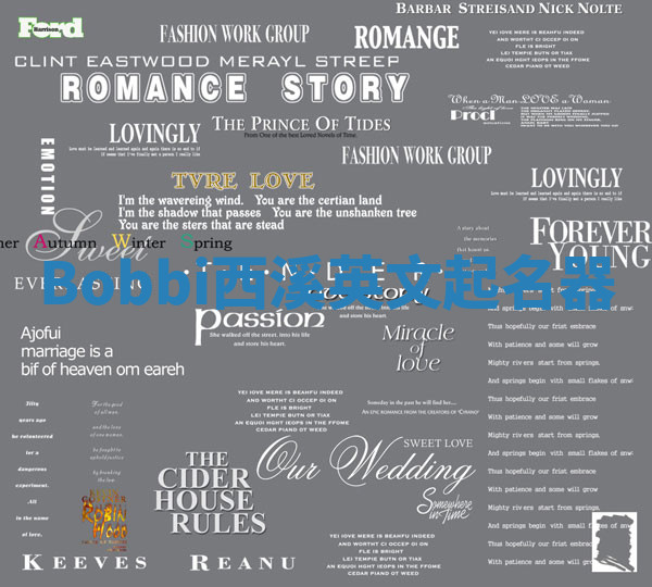 Bobbi西溪英文起名器