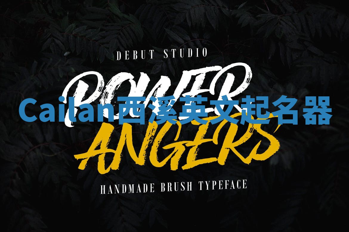 Cailan西溪英文起名器