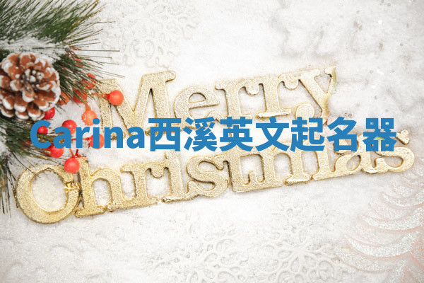 Carina西溪英文起名器