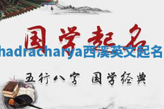 Chadracharya西溪英文起名器 Chadracharya西溪英文起名器