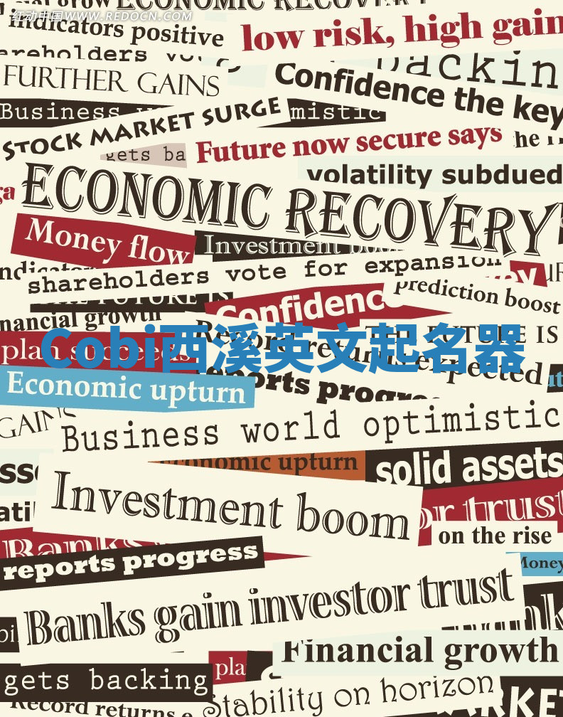 Cobi西溪英文起名器