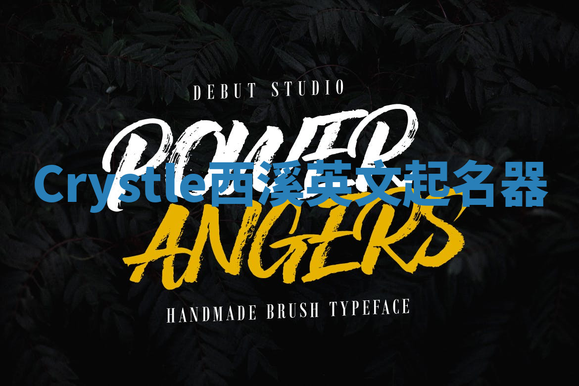 Crystle西溪英文起名器 Crystle西溪英文起名器