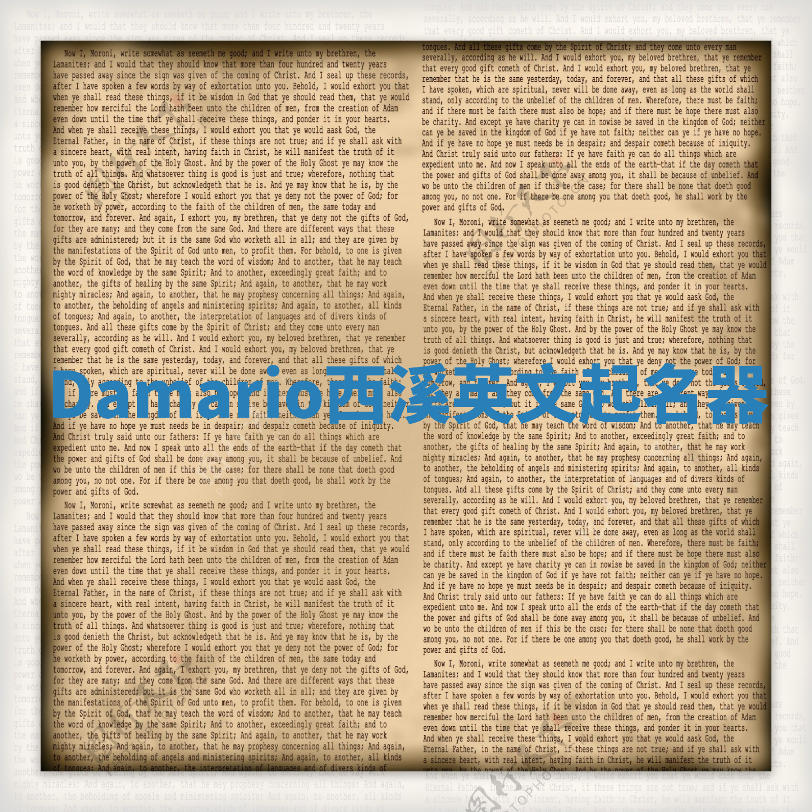 Damario西溪英文起名器 Damario西溪英文起名器