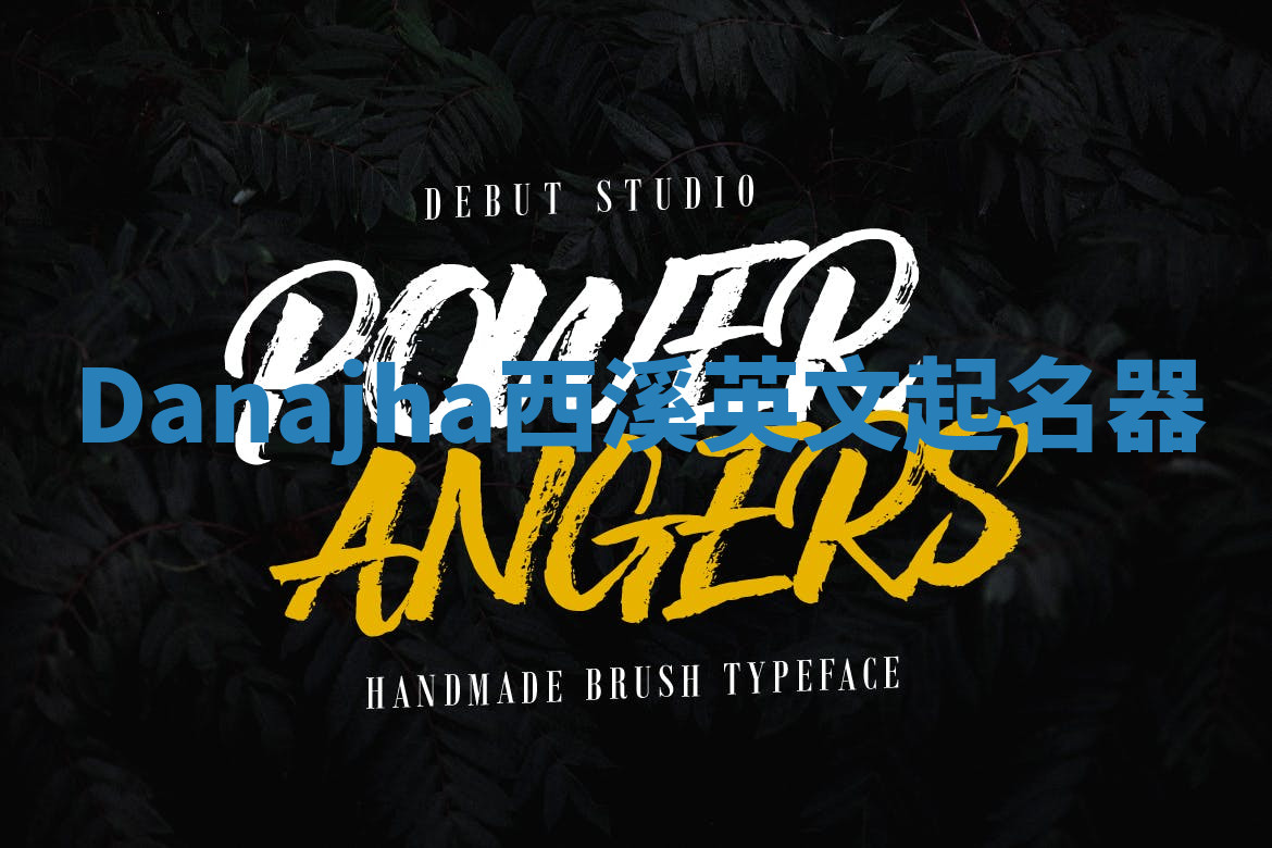 Danajha西溪英文起名器