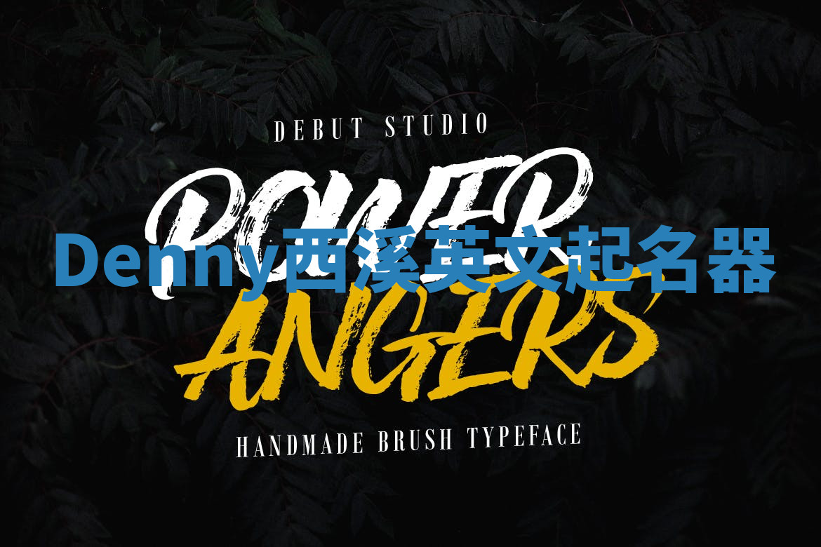 Denny西溪英文起名器