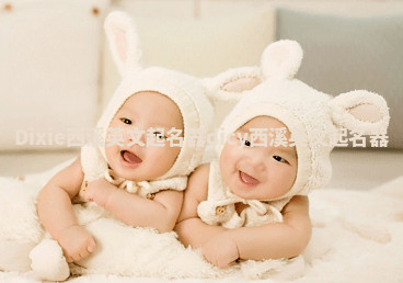 Dixie西溪英文起名器 dicy西溪英文起名器