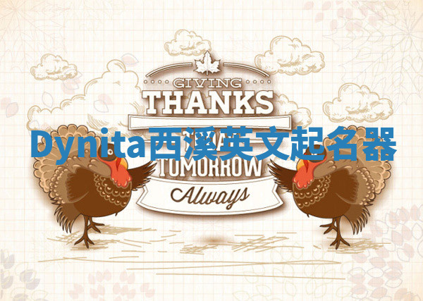 Dynita西溪英文起名器