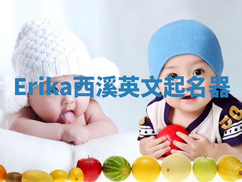 Erika西溪英文起名器