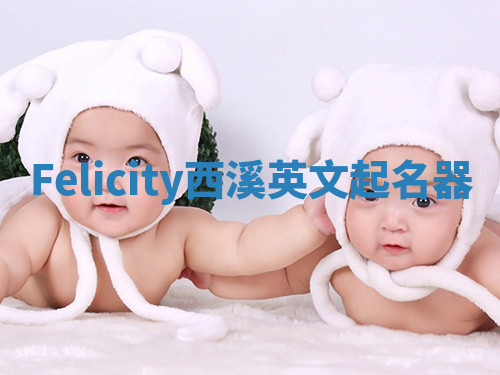 Felicity西溪英文起名器