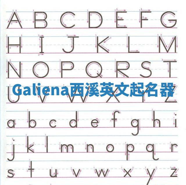 Galiena西溪英文起名器