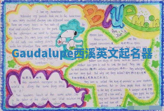 Gaudalupe西溪英文起名器