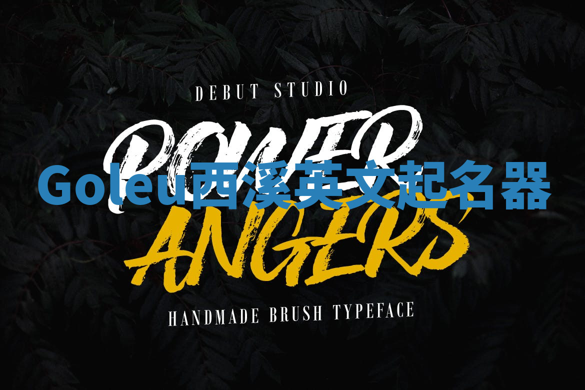 Goleu西溪英文起名器 Goleu西溪英文起名器