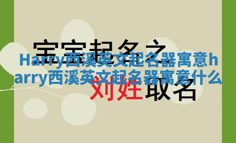 Harry西溪英文起名器寓意_harry西溪英文起名器寓意什么