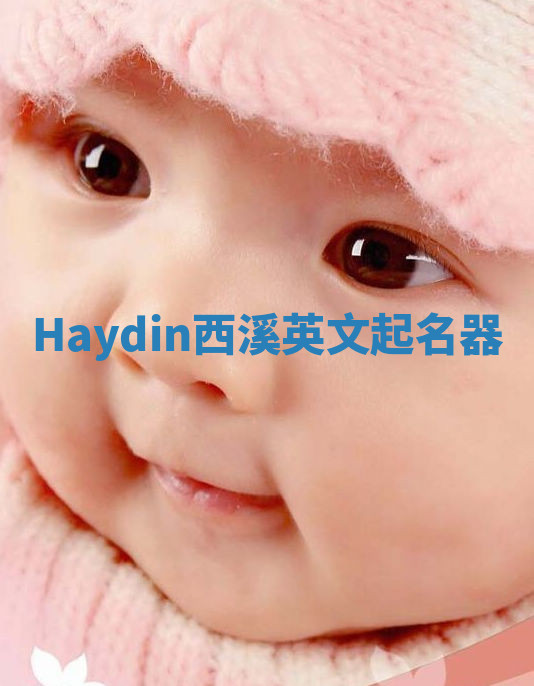 Haydin西溪英文起名器