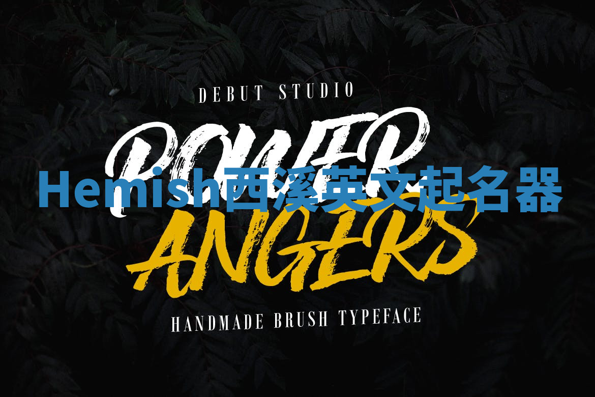 Hemish西溪英文起名器