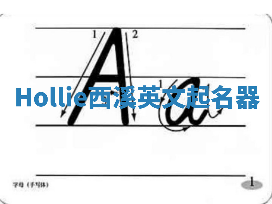 Hollie西溪英文起名器