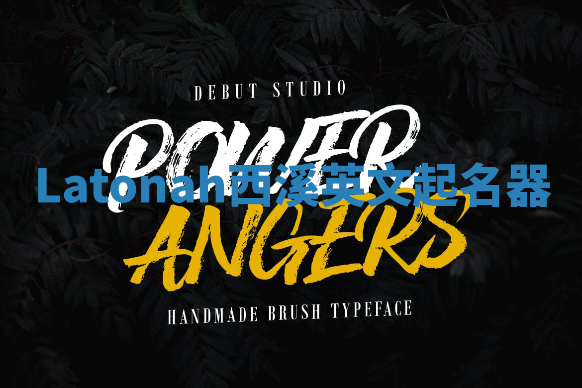 Latonah西溪英文起名器 Latonah西溪英文起名器