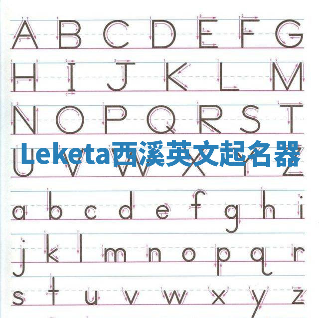 Leketa西溪英文起名器