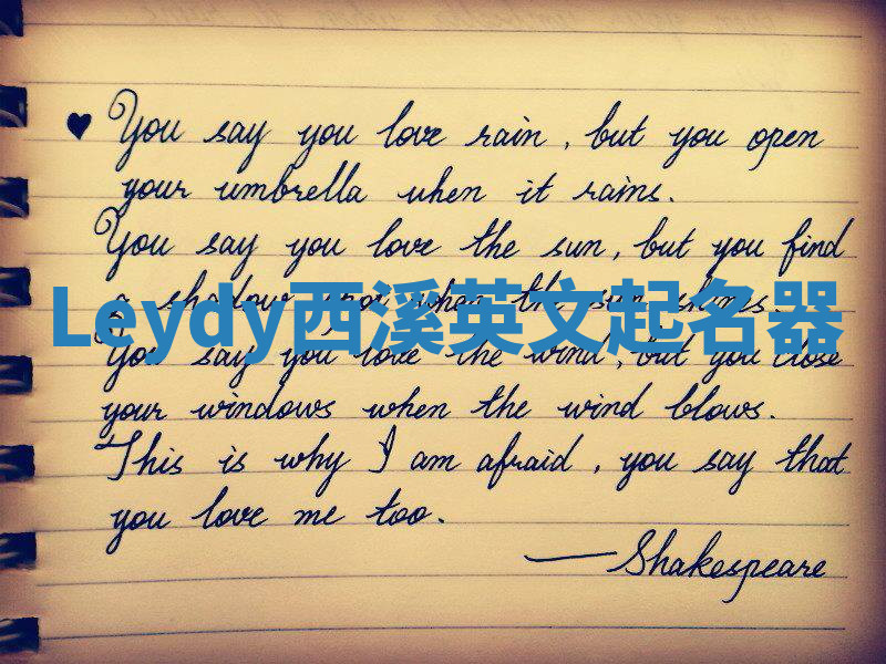 Leydy西溪英文起名器