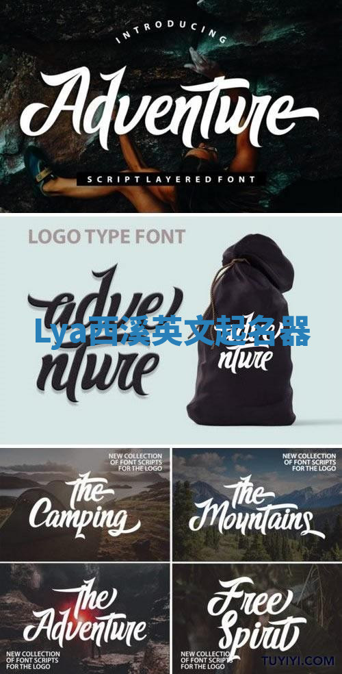 Lya西溪英文起名器