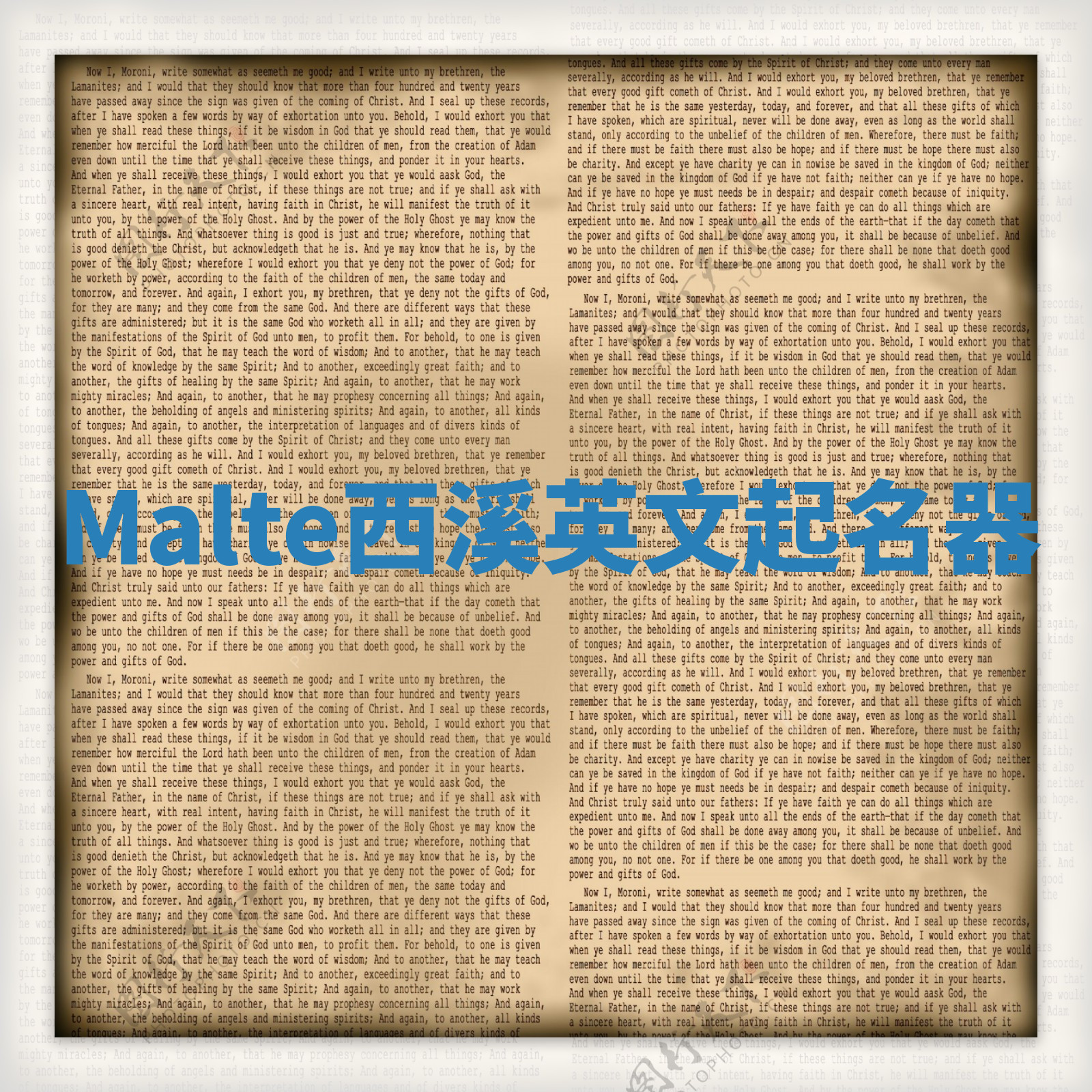 Malte西溪英文起名器 Malte西溪英文起名器