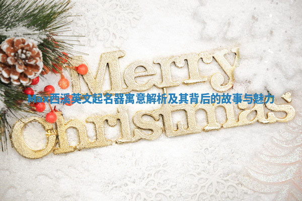 Max西溪英文起名器寓意解析及其背后的故事与魅力