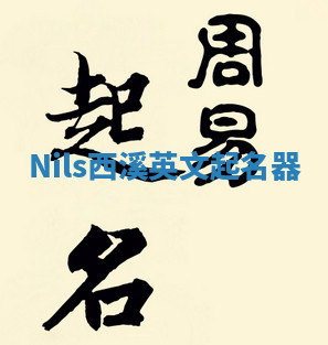 Nils西溪英文起名器