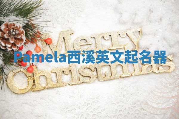 Pamela西溪英文起名器