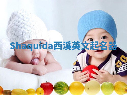 Shaquida西溪英文起名器