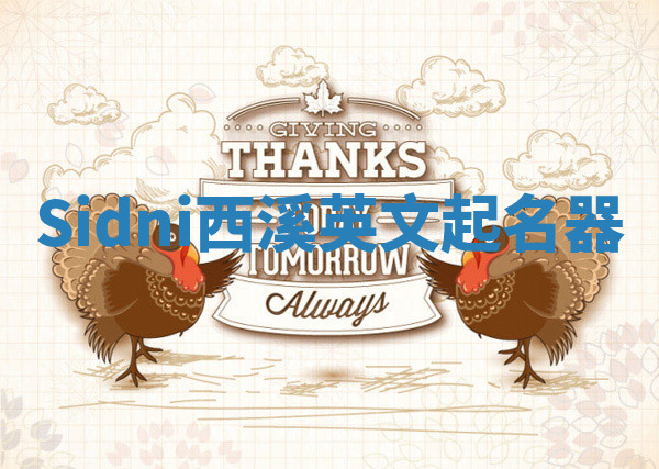 Sidni西溪英文起名器