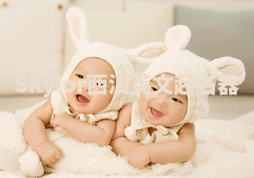 Skylor西溪英文起名器