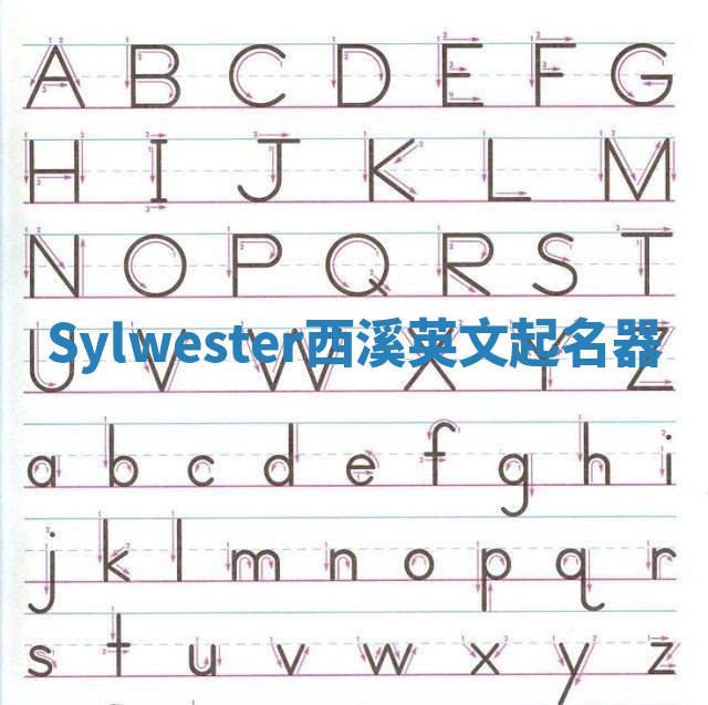 Sylwester西溪英文起名器 Sylwester西溪英文起名器