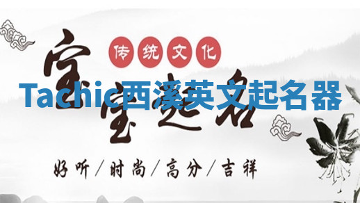 Tachic西溪英文起名器