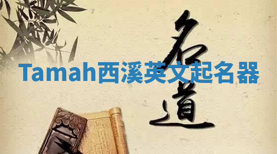 Tamah西溪英文起名器