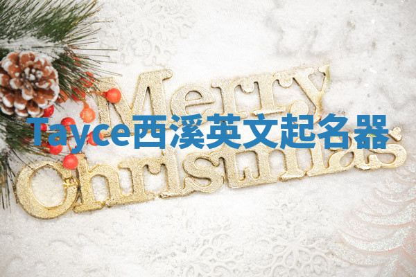 Tayce西溪英文起名器