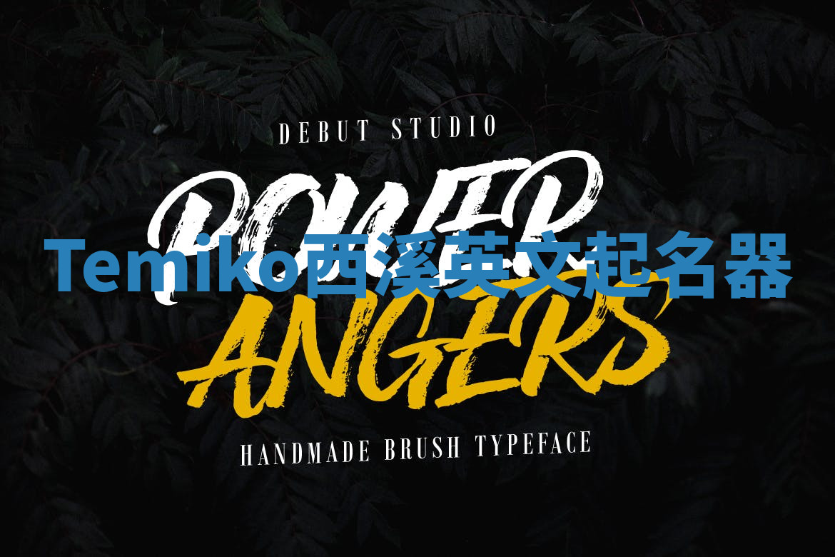 Temiko西溪英文起名器