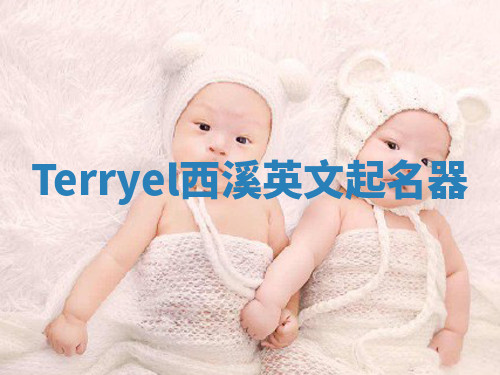 Terryel西溪英文起名器