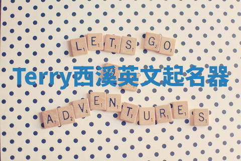 Terry西溪英文起名器