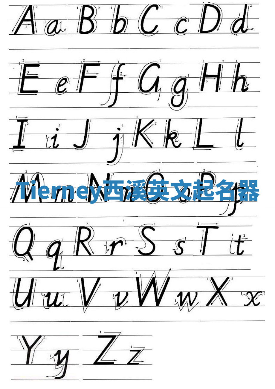 Tierney西溪英文起名器