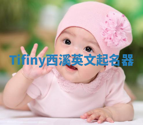 Tifiny西溪英文起名器