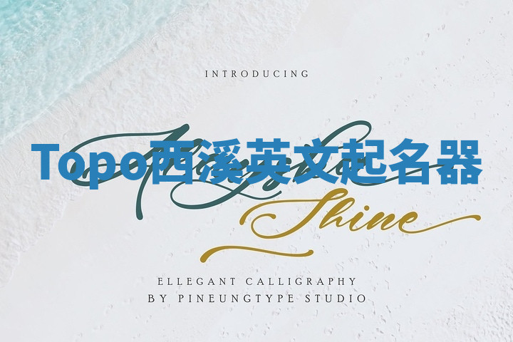 Topo西溪英文起名器