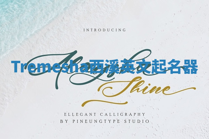 Tremesha西溪英文起名器